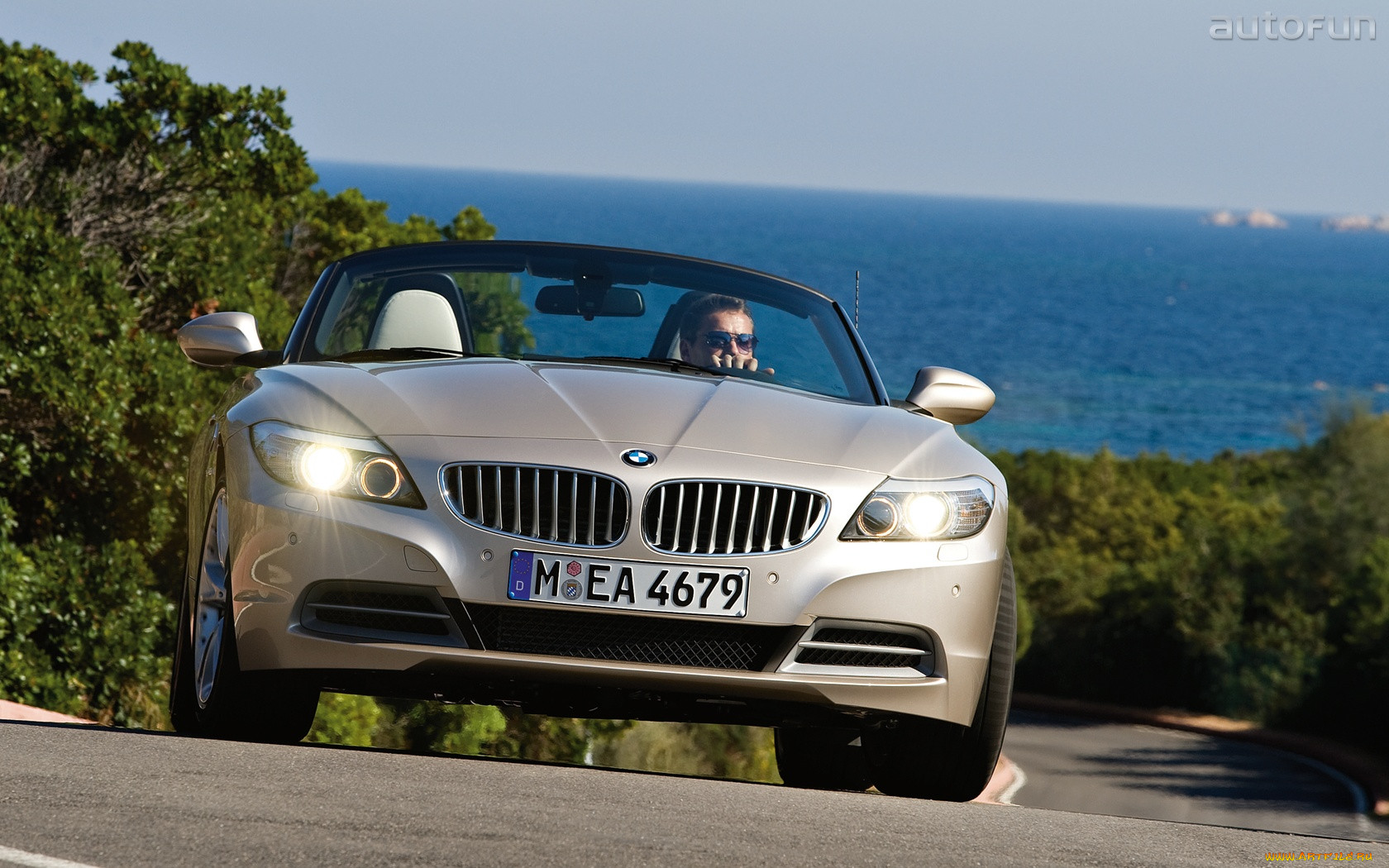 bmw, z4, 